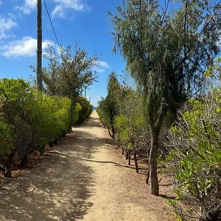 Porto Santo Rentals 公寓 *